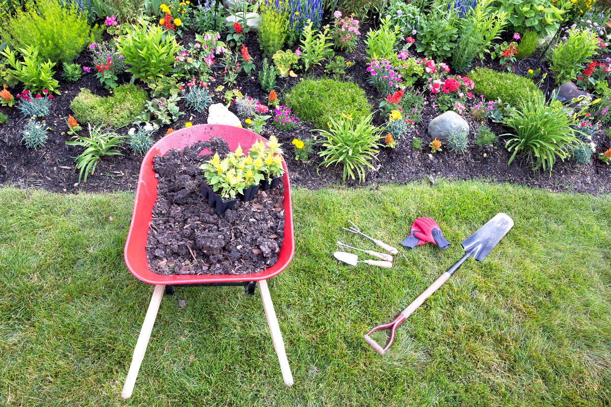 Tips For Preparing Your Lawn For Spring